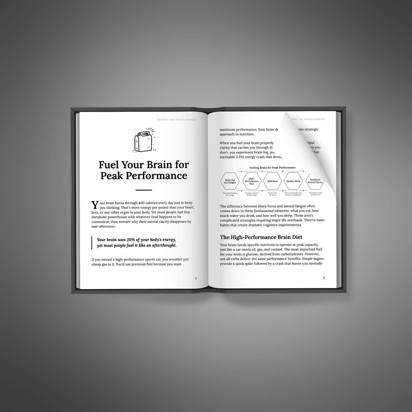 Maximize Your Brains Potential