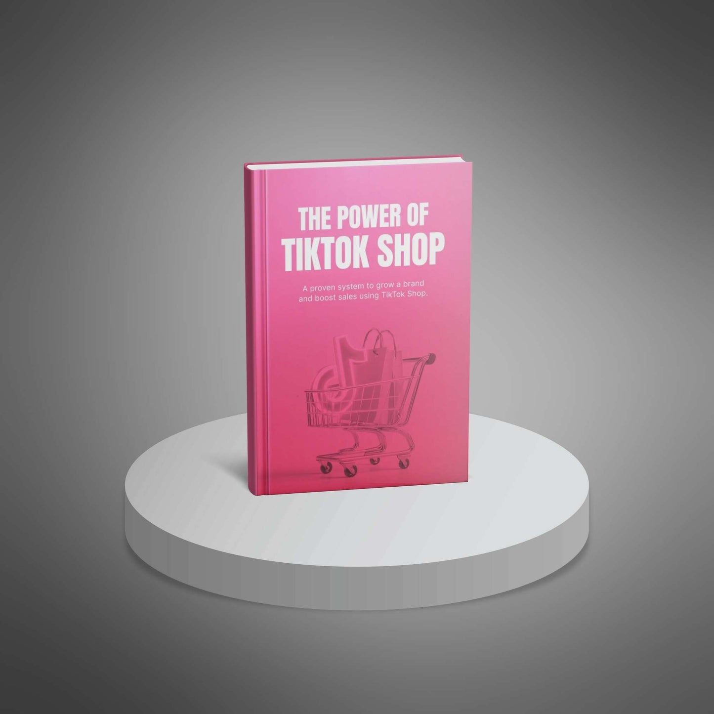 Unlock TikTok Shop's Opportunity - Mini-Course